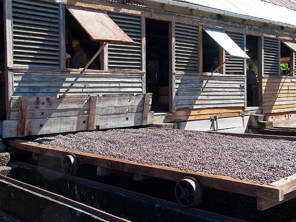 Large trays of cocoa beans roll out from under the factory building on steel rails to dry in the sun Jan 14, 2010 10:45 AM : Grenada, SilverSea Caribbean Cruise 2010
