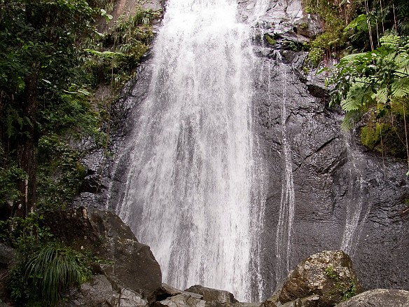 Finally, real waterfalls! Jan 18, 2010 11:03 AM : El Yunque, Puerto Rico, SilverSea Caribbean Cruise 2010