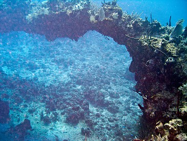 Bonnie's Arch Feb 3, 2011 9:39 AM : Diving, Grand Cayman