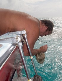 After the sandbar at Stingray City, Chris motored us back to an area in the North Sound where he dove for conch. Here he is using a hammer and a knife to get it out of its shell. Gives new meaning to the term "cracked conch". Feb 3, 2012 3:06 PM : Grand Cayman