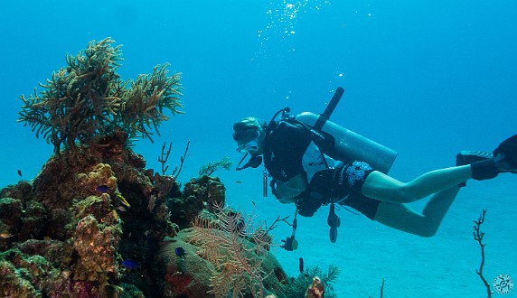 Beck, new divemaster with  Indigo Divers  Jan 20, 2014 9:33 AM : Diving, Grand Cayman