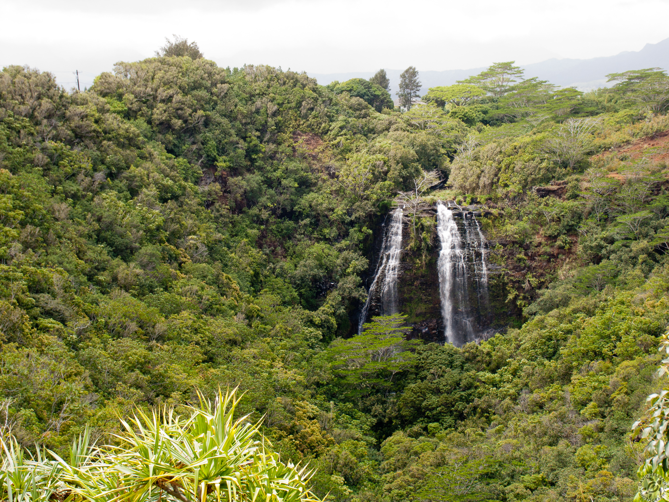 Hawaii2010-042