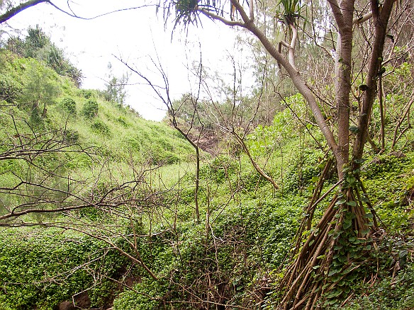Later Sunday morning, I decided to try hiking down to Queen Emma's bath May 2, 2010 10:10 AM : Kauai