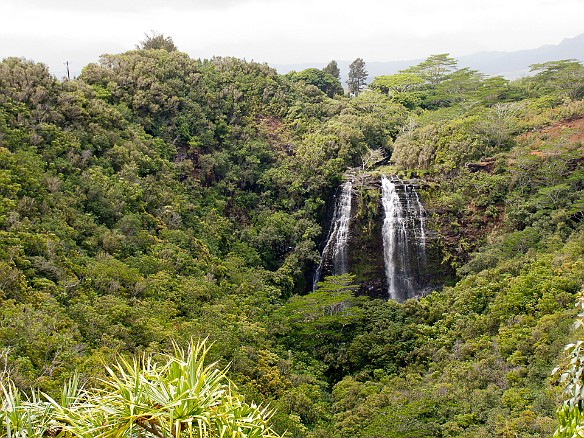 On the other side of the road from the river is a view of Opaeka'a Falls, which are over 150 ft tall May 6, 2010 12:50 PM : Kauai