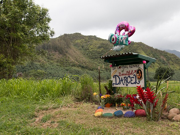 Roadside memorial, Hawaiian style, across the road from Lumahai Beach May 10, 2015 5:20 PM : Kauai : Debra Zeleznik,David Zeleznik,Jawea Mockabee,Maxine Klein,Mary Wilkowski