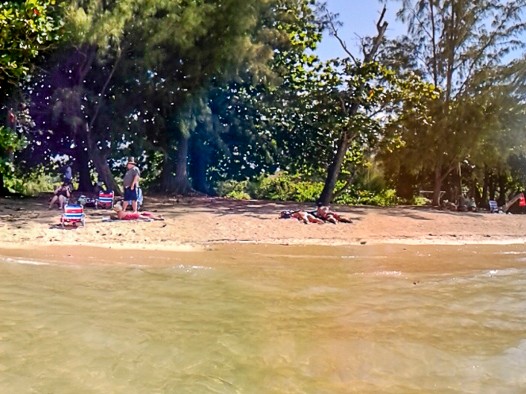 Okay, it seems I apparently reached the limits of my panorama abilities. I took this one standing in waist deep water, but the geometry is distorted and makes the long stretch of sand appear like an isolated point. May 19, 2015 3:33 PM : Kauai : Debra Zeleznik,David Zeleznik,Jawea Mockabee,Maxine Klein,Mary Wilkowski