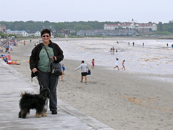 During the summer, dogs are not allowed on the beach itself from 9-6. But, Josie enjoyed the promenade. Jul 3, 2009 12:16 PM : Josie, Maine, Maxine Klein