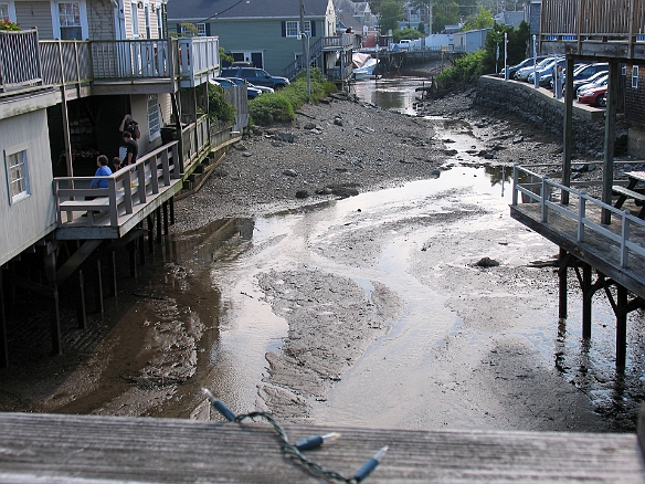 Low tide in the creek behind some of the stores Jul 3, 2009 4:02 PM : Maine