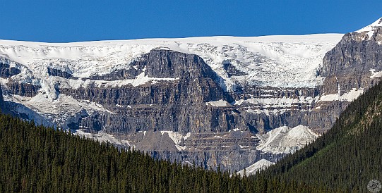 ColumbiaIcefield-008 Stutfield Glacier is at the northern end of the Columbia Icefield