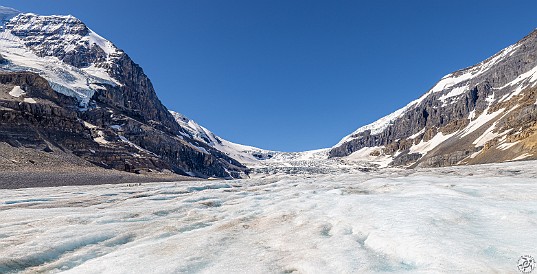 ColumbiaIcefield-024 The Athabasca Glacier