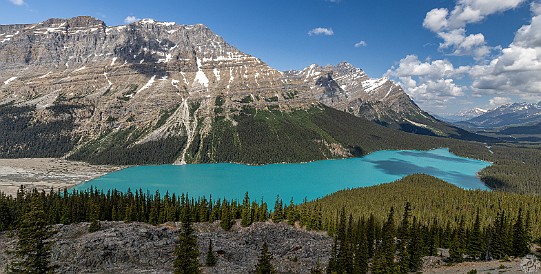 IcefieldsParkway-013 View over Peyto Lake