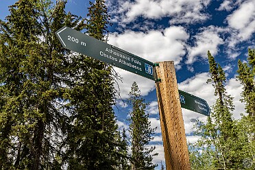 Icefields Parkway From Lake Louise to Jasper on the scenic Icefields Parkway