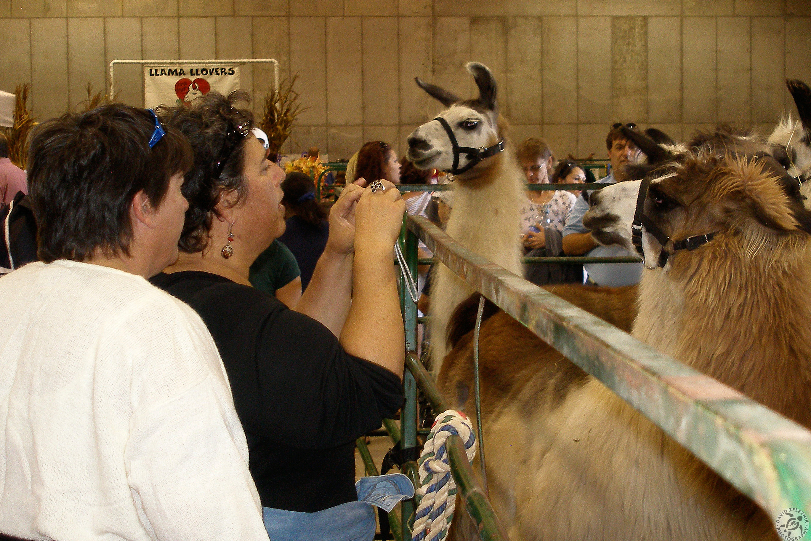 Durham Fair 2007-32