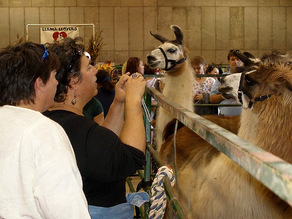 Durham Fair 2007-32.jpg