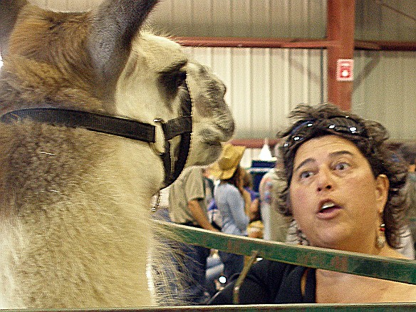 Durham Fair 2007-35.jpg