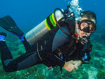 Diving Three days of gluttonous excess was followed by five days of underwater rehab. Once again, a great time diving with...