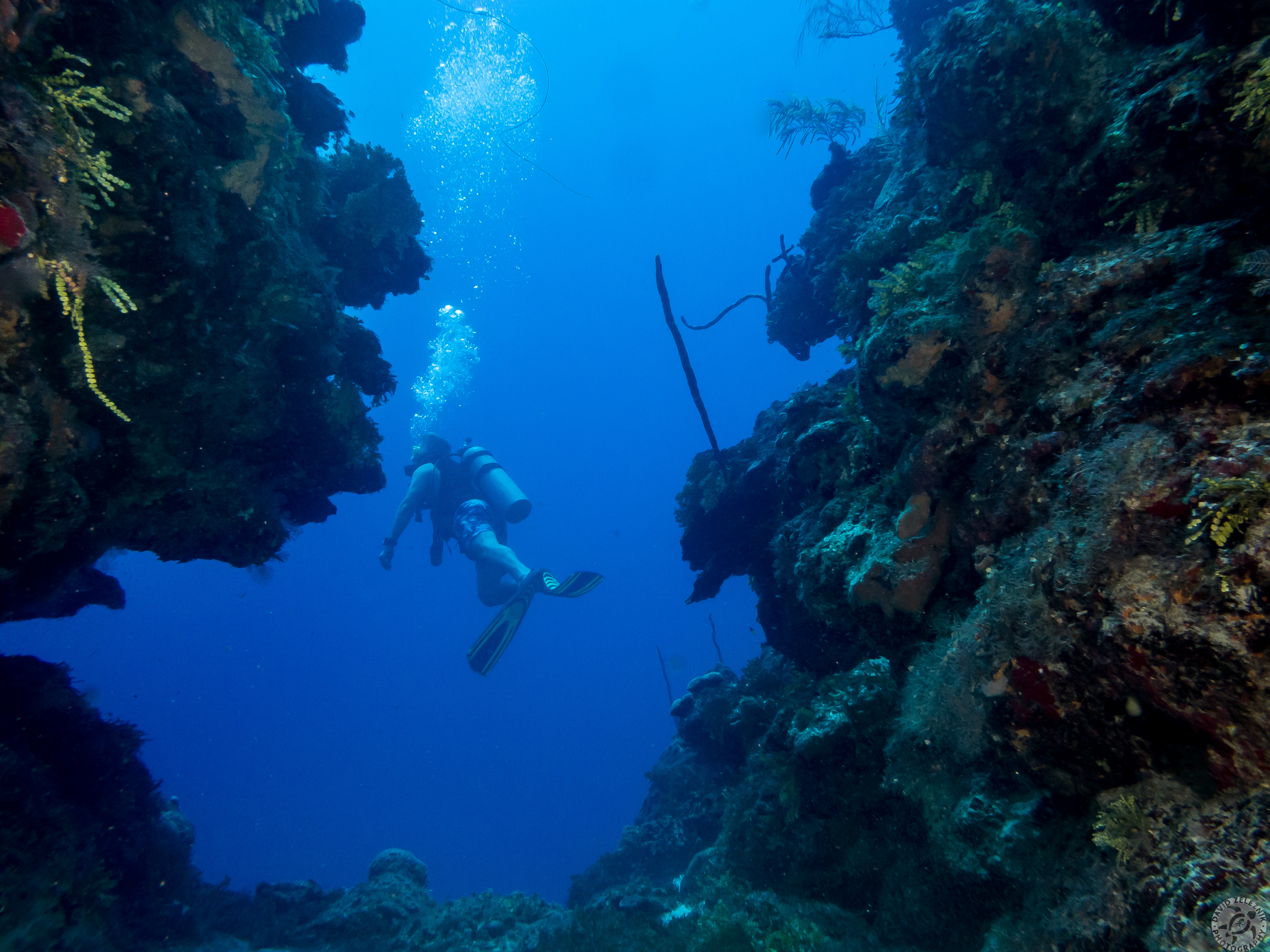 Little Tunnels dive site<br/><small>Grand Cayman</small>