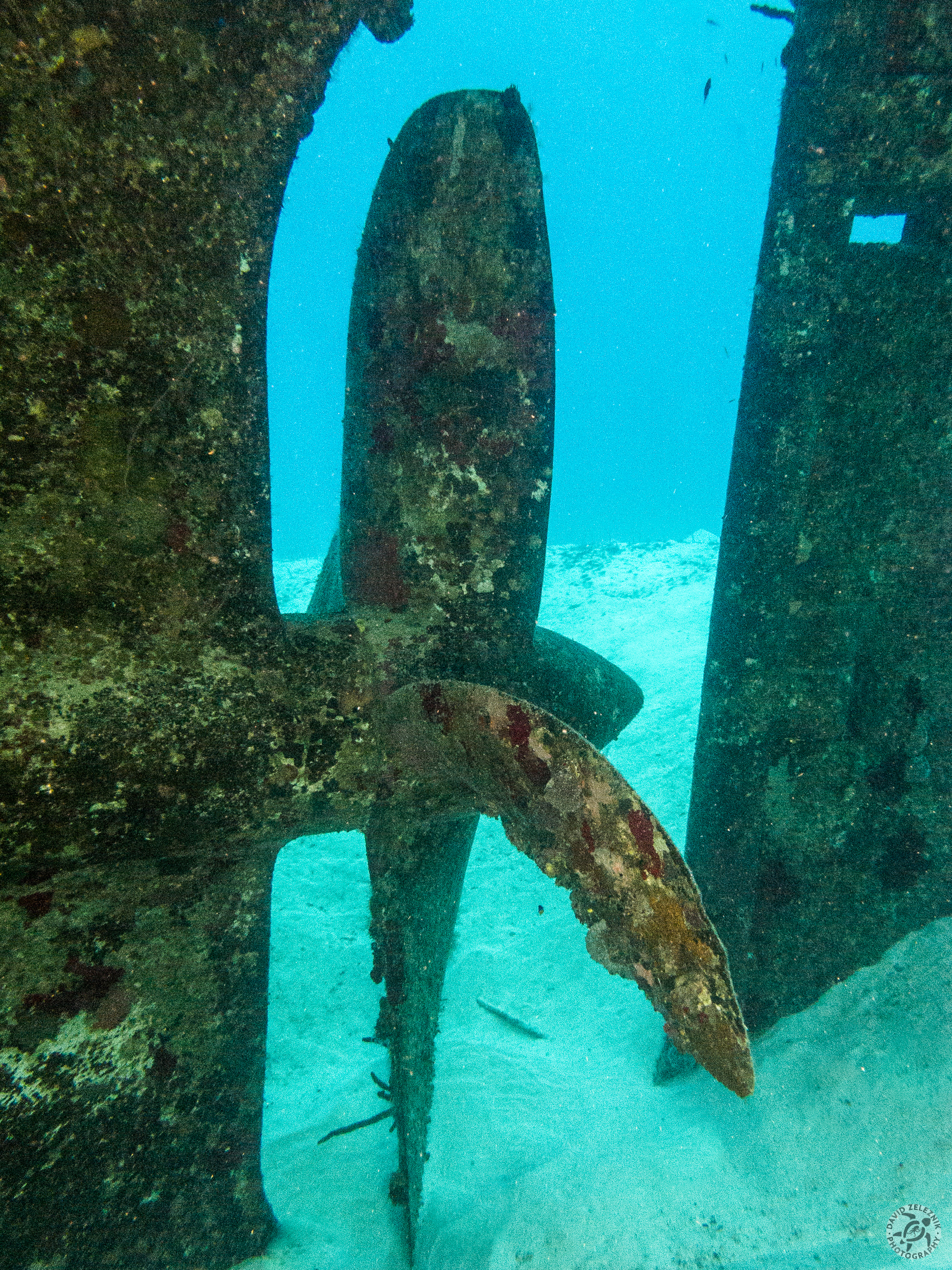 Prop and rudder<br/><small>USS Kittiwake, Grand Cayman</small>