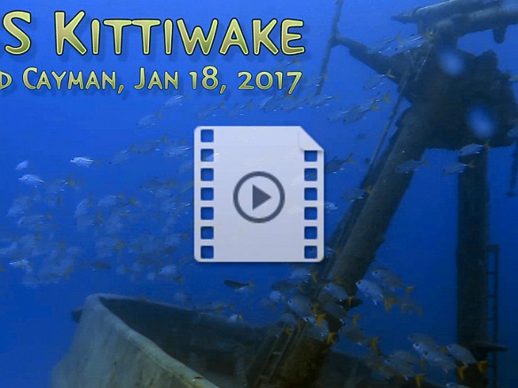 Video of the upper deck area and rigging of the USS Kittiwake in Grand Cayman with lots of horse-eye jacks, snapper, and grunts schooling around. Jan 18, 2017 2:48 PM : Diving, video thumbnail
