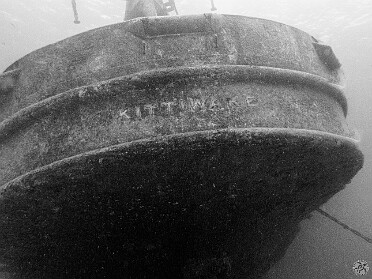 Diving Indigo Divers was booked with a morning charter for the entire week, so I got in 4 days of afternoon dives from Mon...