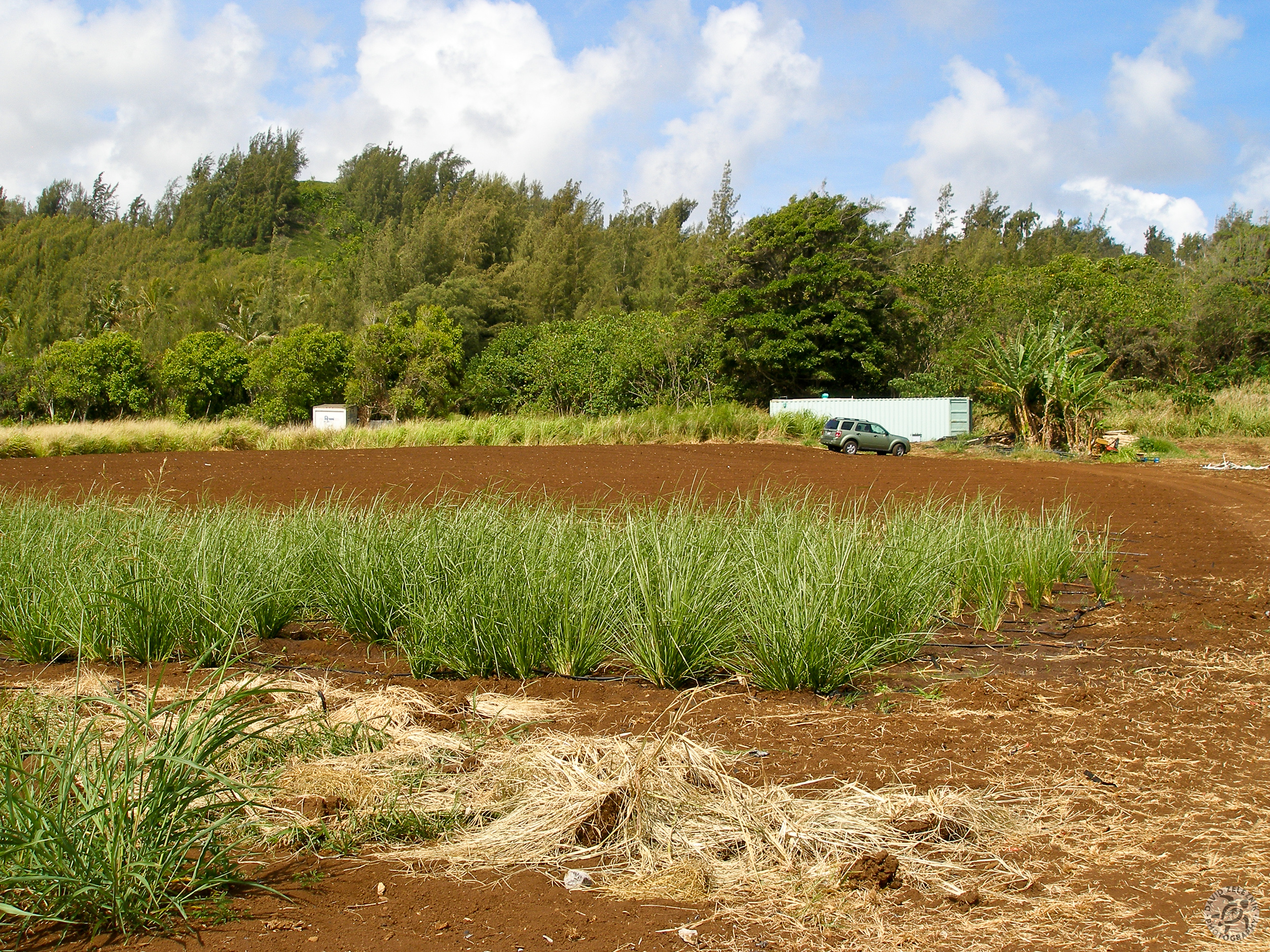 Oahu2008-09