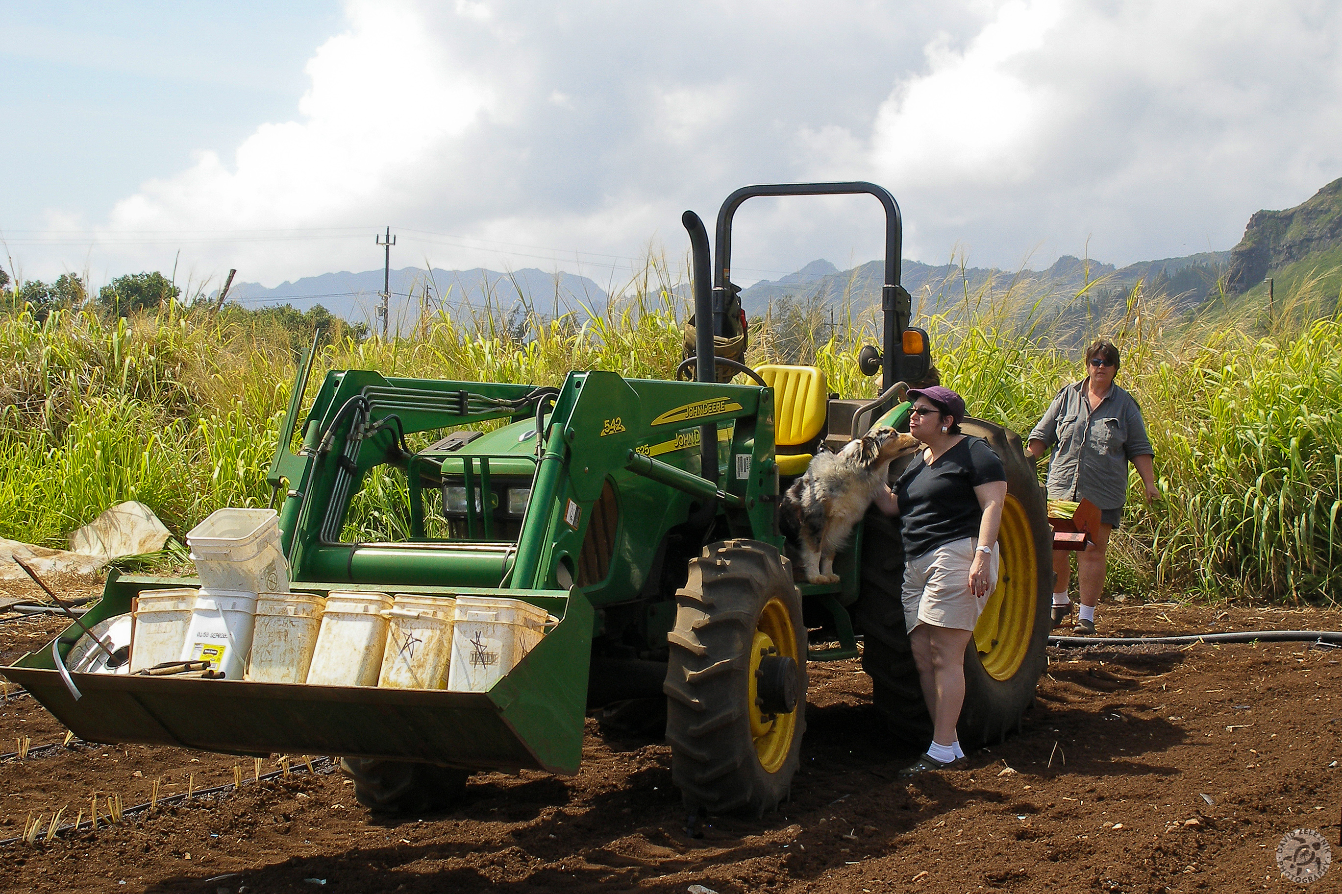 Oahu2008-21