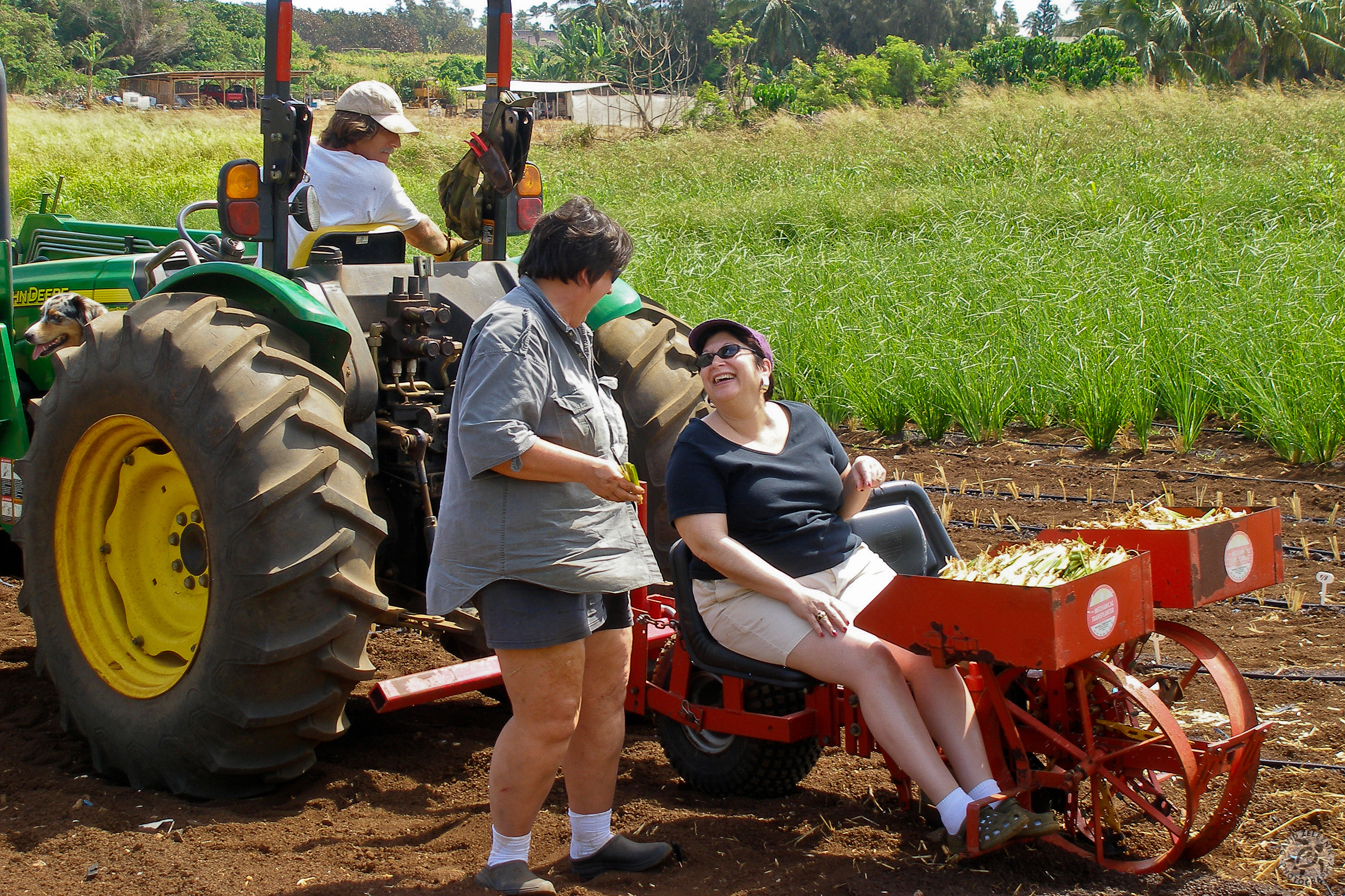 Oahu2008-22