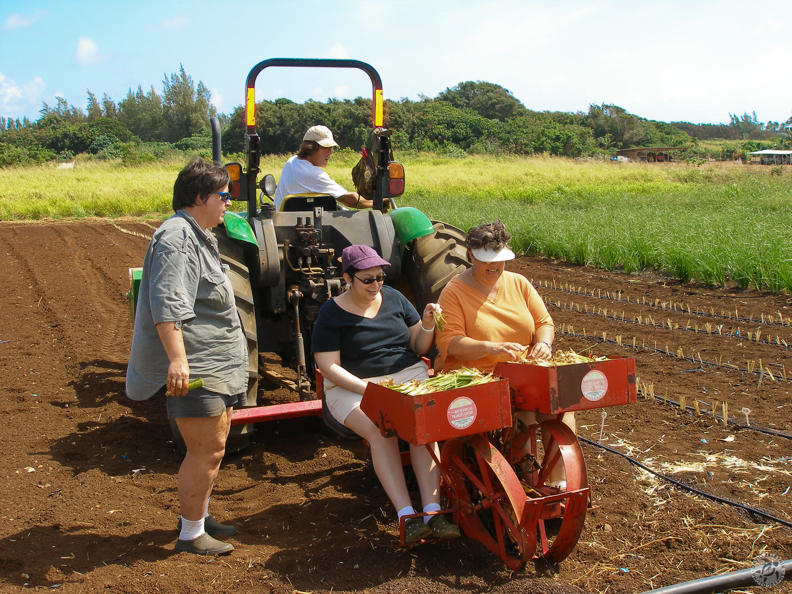 Oahu2008-23