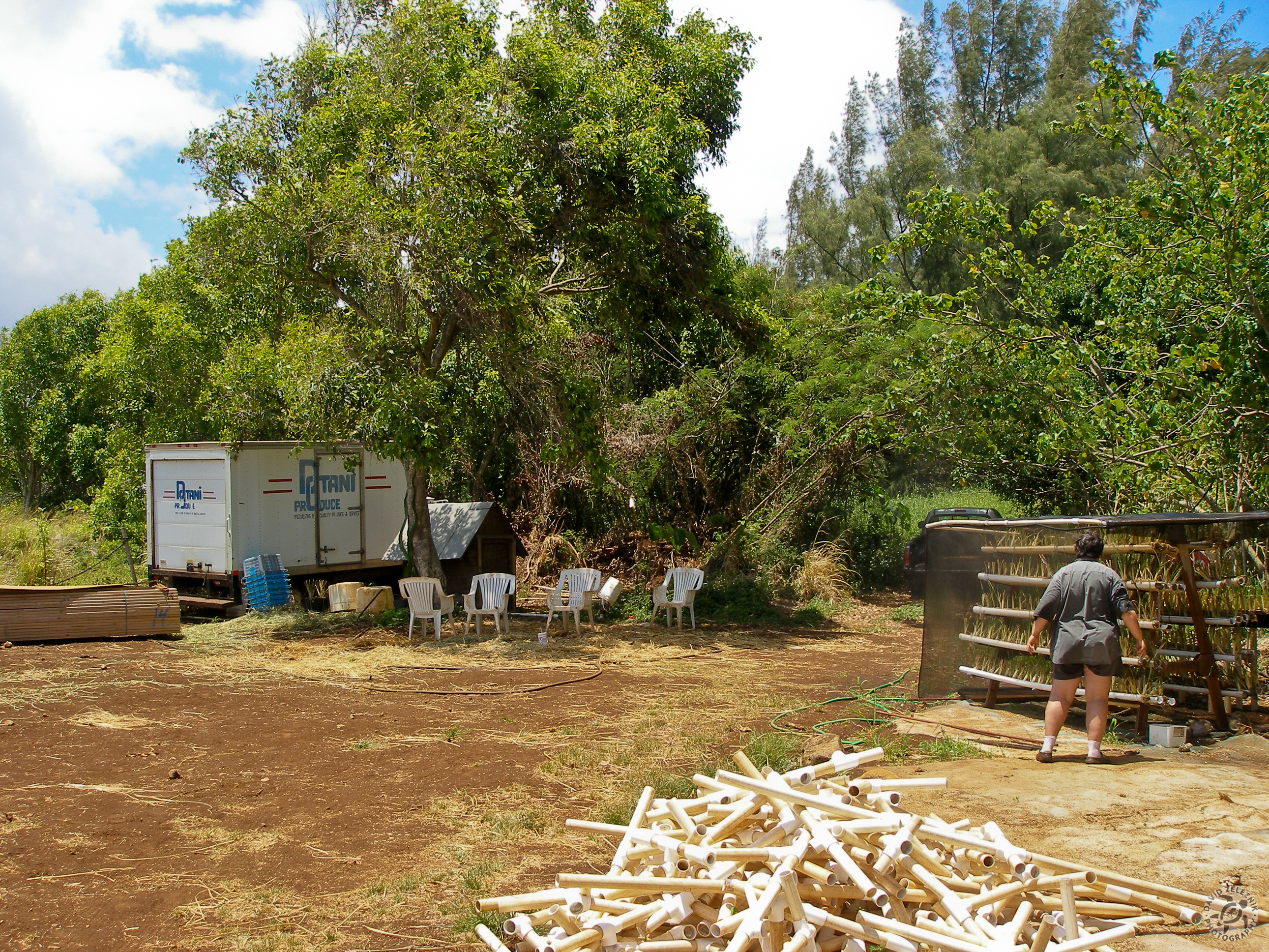 Oahu2008-35