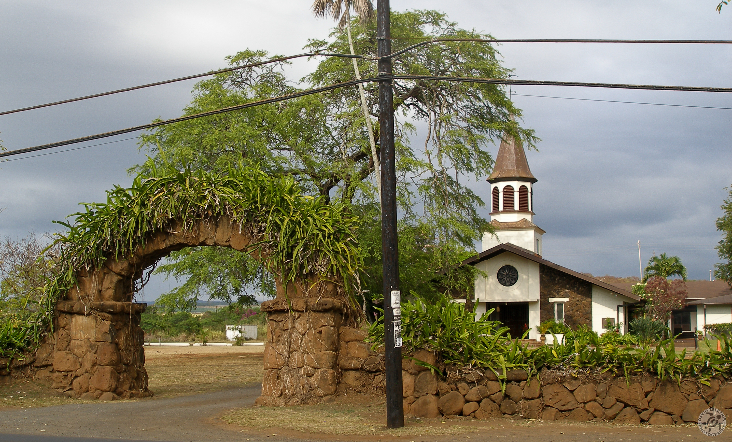 Oahu2008-44