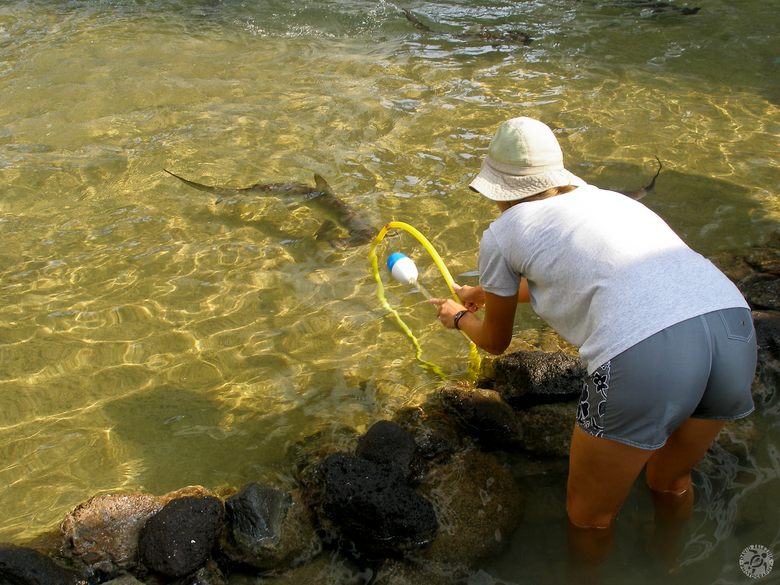 Oahu2008-79