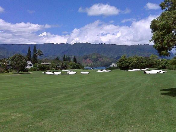 While Dave was diving, Max golfed at the Princeville Makai Course May 4, 2010 11:29 AM : Kauai