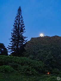 A halau from Haena begins their chants as the moon rises. As a traditional and sacred performance, we were not allowed to photograph or video it. May 14, 2011 7:25 PM : Kauai, Limahuli Gardens