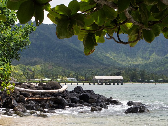 We stumble along the rocky shore, crossing streams, and tripping on roots of trees that Stan cannot identify. Meanwhile, Stan runs backwards in front of us, clapping his hands like a drill sergeant for us to keep up. This is a view of the historic Hanalei pier as we stumble among the shoreline brush to find the path up the bluff to the old resort area. May 16, 2012 1:00 PM : Kauai