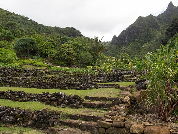 Leading up from the visitor center are ancient terraced taro fields. The rock walls are 700 years old built by the ancient Hawaiians that settled in the valley. May 24, 2012 2:38 PM : Kauai