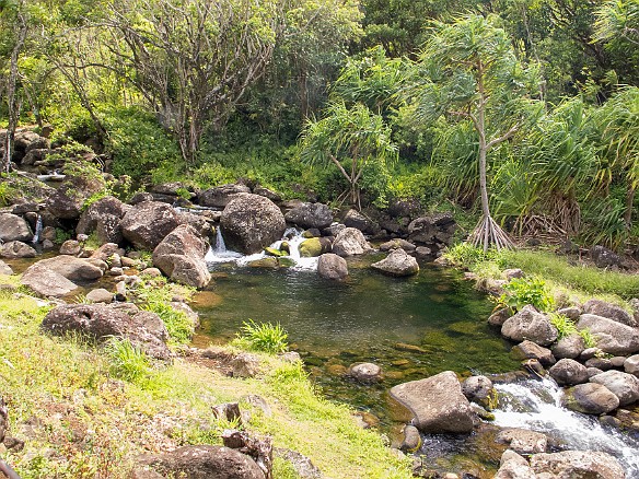 Farther into the valley are the many streams that descend and irrigate the taro ponds May 24, 2012 3:16 PM : Kauai