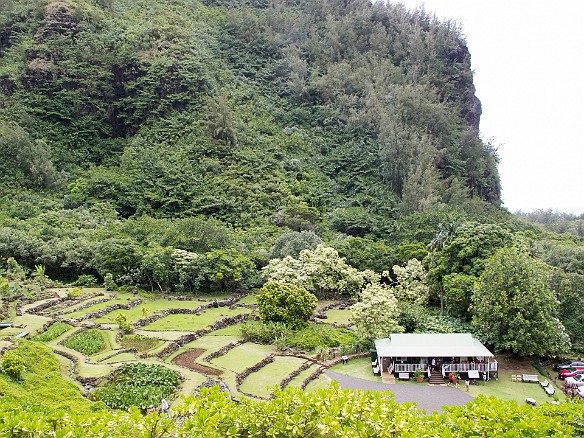 Kauai2012-182.jpg