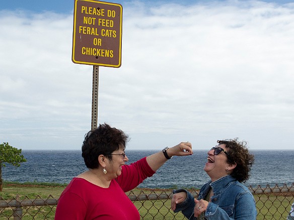 Sisters take care of each other, despite the warning signs May 13, 2013 4:05 PM : Kauai, Maxine Klein, Rhona Berzon