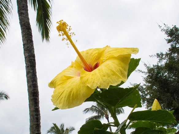 Hawaii2013-231.jpg