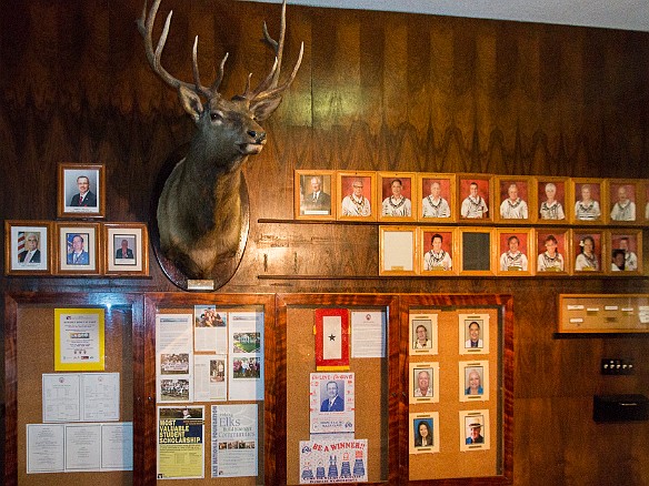 Probably the only Elks Lodge (well maybe except for the other islands) where the wall of past presidents has them all wearing leis. May 8, 2014 7:33 PM : Oahu