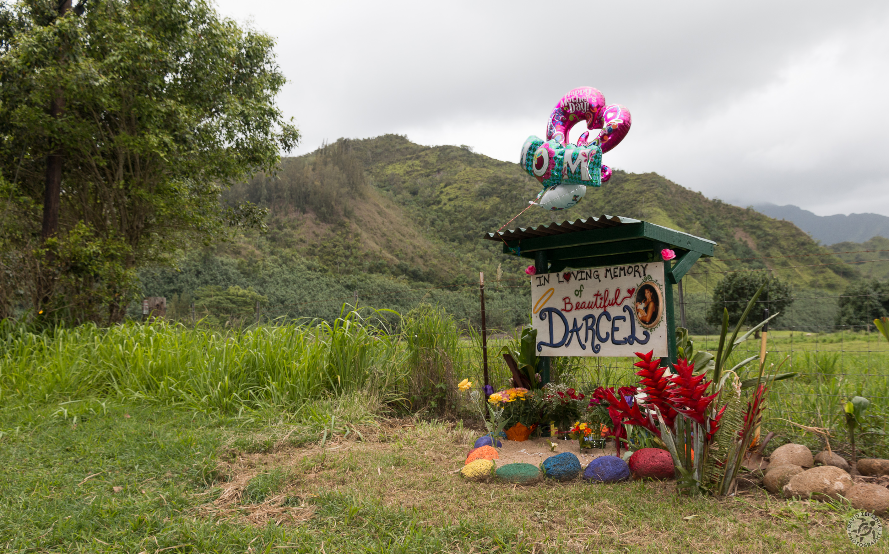 Kauai2015-013