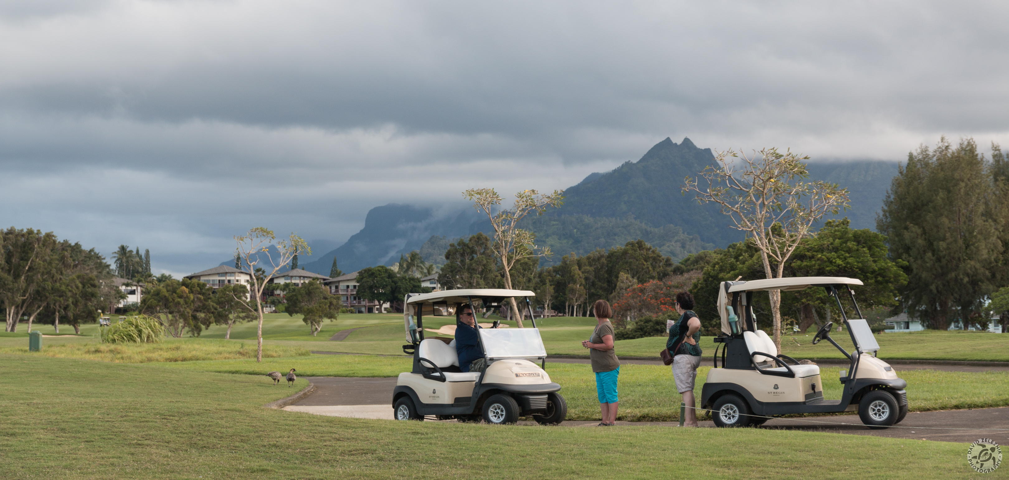 Kauai2015-132