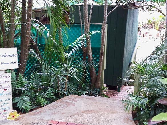 The entrance to Auntie Angeline's which somehwat resembles a ramshackle Swiss Family Robinson collection of cabanas, decks, and huts amidst the foliage. May 11, 2015 12:04 PM : Kauai : Debra Zeleznik,David Zeleznik,Jawea Mockabee,Maxine Klein,Mary Wilkowski