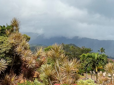 With my sudden new ability to take panoramas with my tablet, opportunities abounded. Couldn't resist taking a few from the upper areas of the resort, this one was more mountain-side. May 16, 2015 9:43 AM : Kauai : Debra Zeleznik,David Zeleznik,Jawea Mockabee,Maxine Klein,Mary Wilkowski