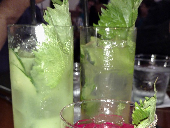 Cocktails! Smokey tequila and beet juice, and cucumber-licious gin fizz - all with shiso leaf May 12, 2017 8:06 PM
