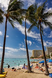 Oahu2024-007 Huzzah, we've arrived in Waikiki and it's no longer 18° outside! 🌴🏖️🌊🩴