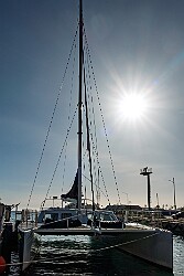 Oahu2026-013 After our trouble-filled departure from the frigid NY tundra, we were unable to find temps below 32° in Honolulu except for the ice in our tiki drinks 🍹 To...