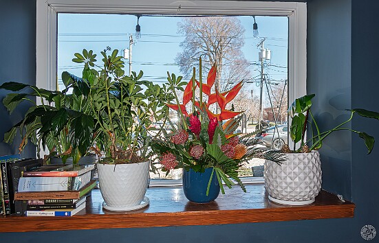 Maxine70thBirthday-014 Marlee Spector, the wife of my personal trainer Sam, owns one of the most prominent floral shops in the area. She arrived with the tropical arrangements that...