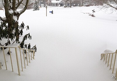 Blizzard20130209-001 Mid-morning, it's still flurrying, and our street and front steps don't exist. Max and I both laughed when a plow came by yesterday when there was only 1/2