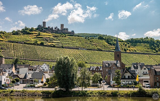 Cochem2025-020 Thurant Castle in Alken, Germany dates from the early 12th century. It's now privately owned and the castle and its extensive vineyards are open to visitors.